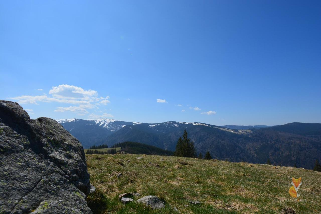Blackfoxrest Ferienwohnung Feldberg  Exteriör bild