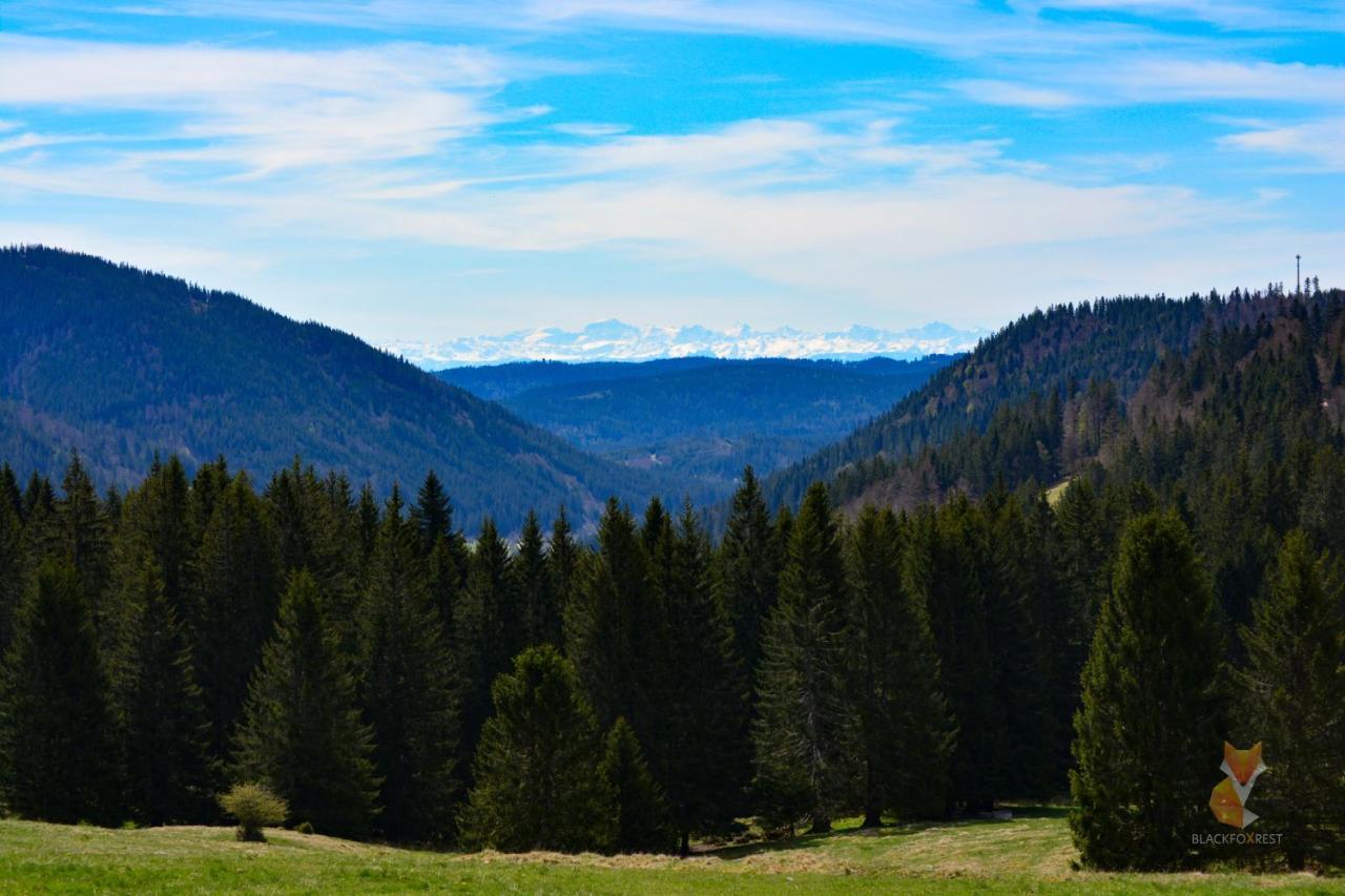 Blackfoxrest Ferienwohnung Feldberg  Exteriör bild