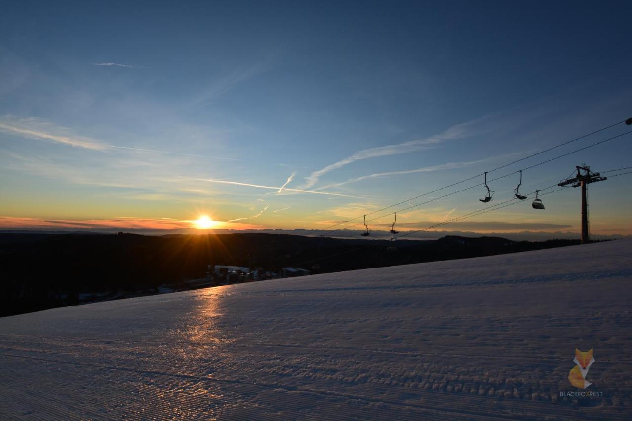 Blackfoxrest Ferienwohnung Feldberg  Exteriör bild