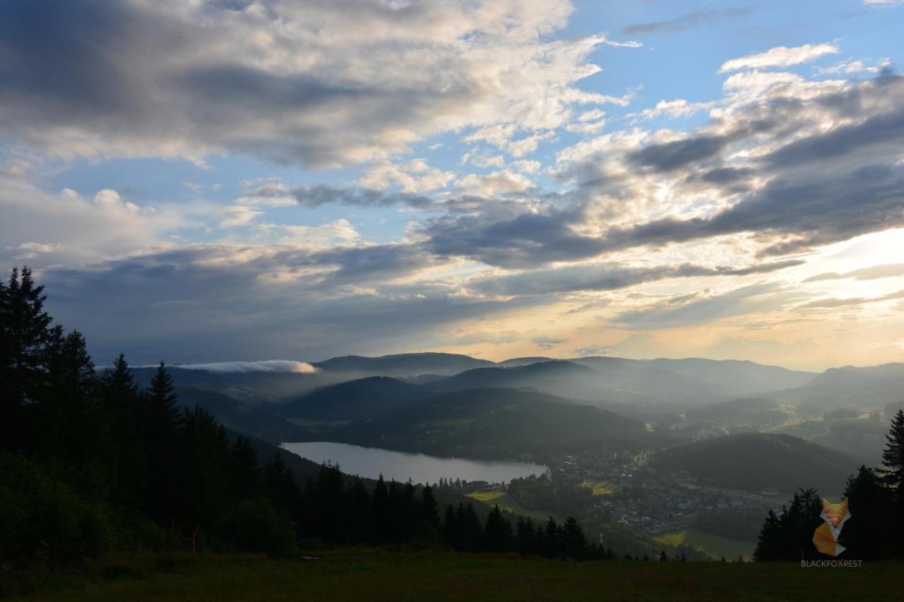Blackfoxrest Ferienwohnung Feldberg  Exteriör bild