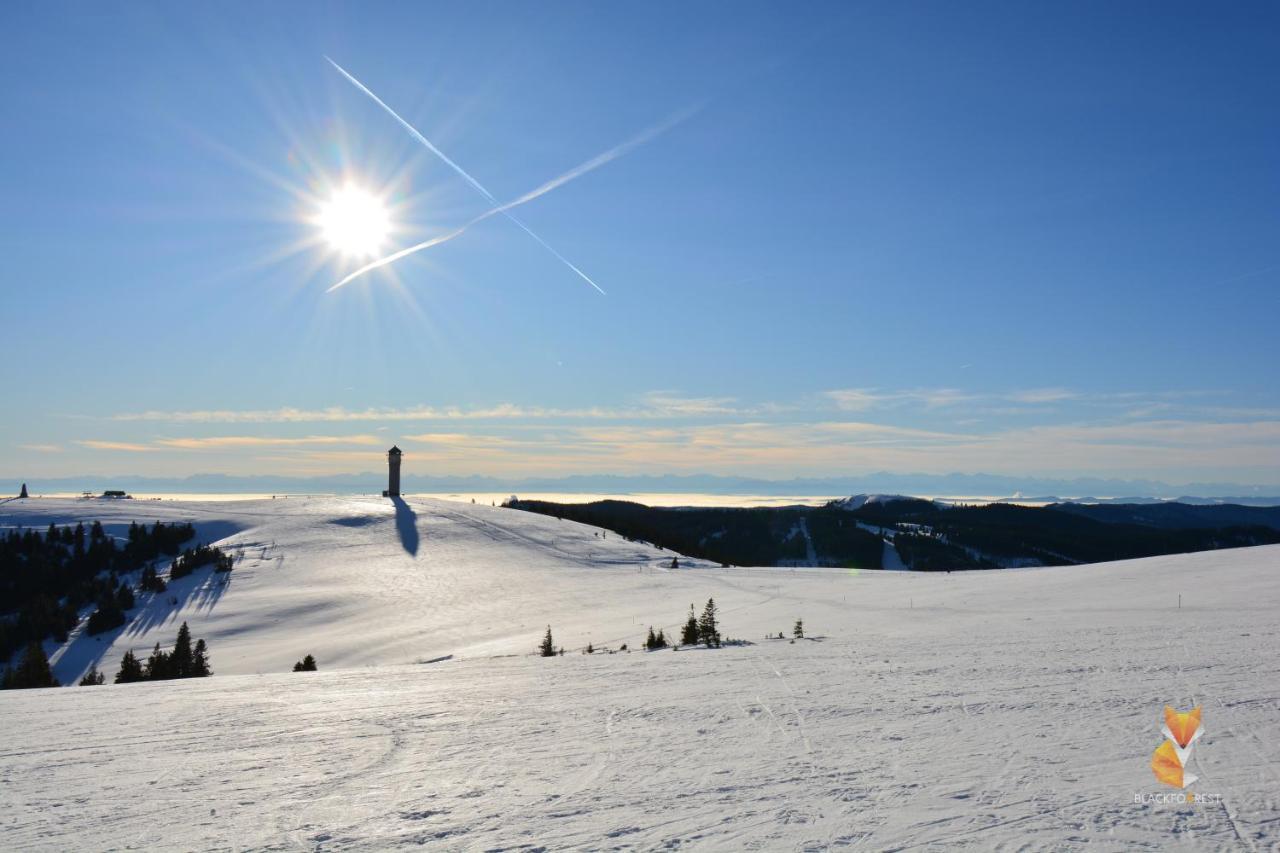 Blackfoxrest Ferienwohnung Feldberg  Exteriör bild