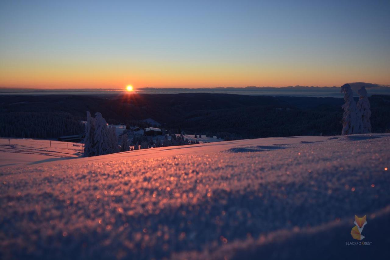 Blackfoxrest Ferienwohnung Feldberg  Exteriör bild