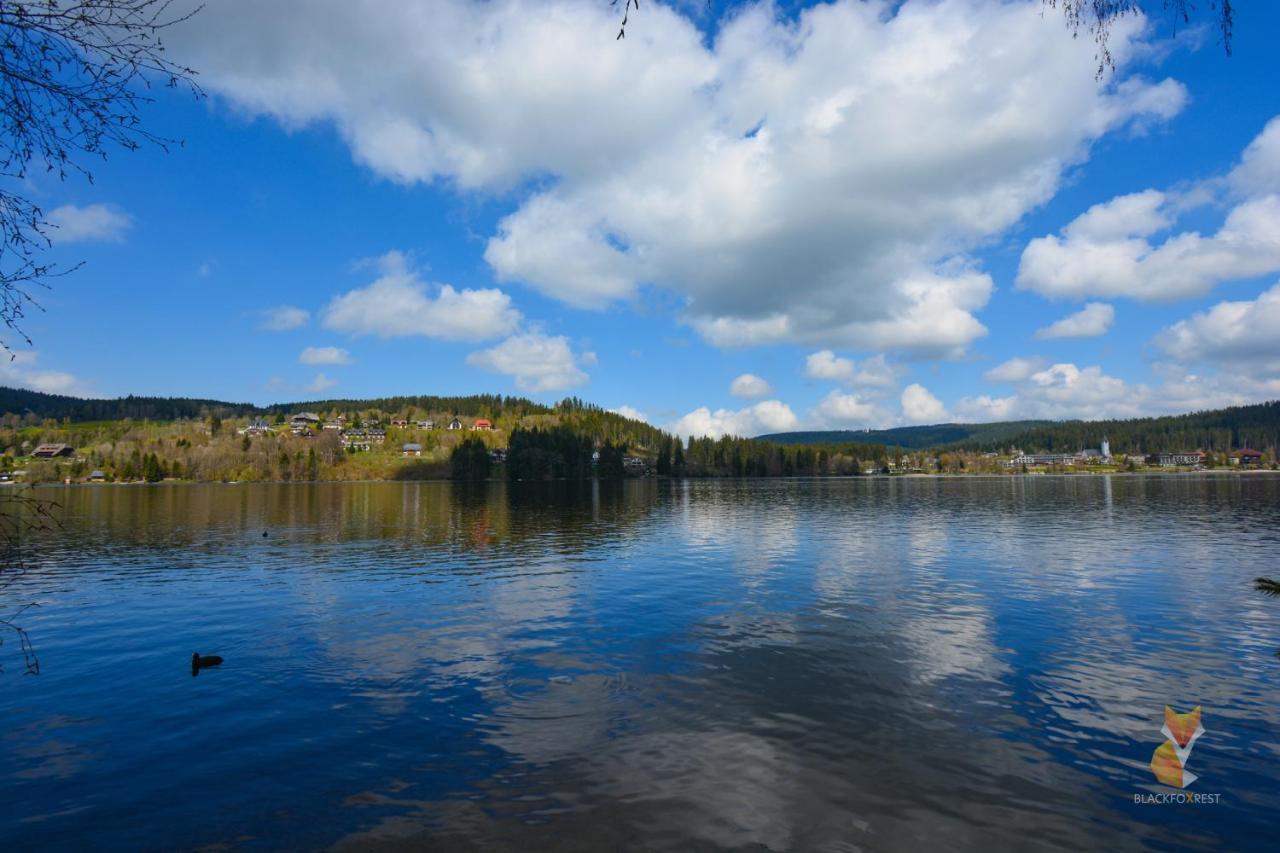 Blackfoxrest Ferienwohnung Feldberg  Exteriör bild