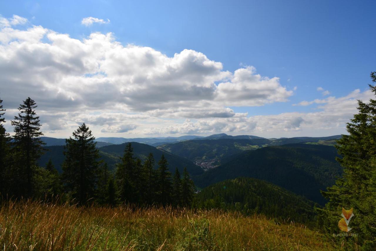 Blackfoxrest Ferienwohnung Feldberg  Exteriör bild