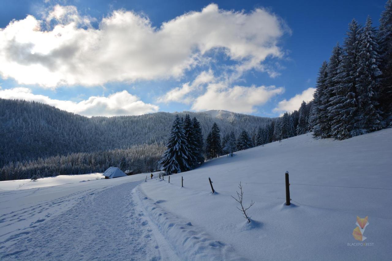 Blackfoxrest Ferienwohnung Feldberg  Exteriör bild
