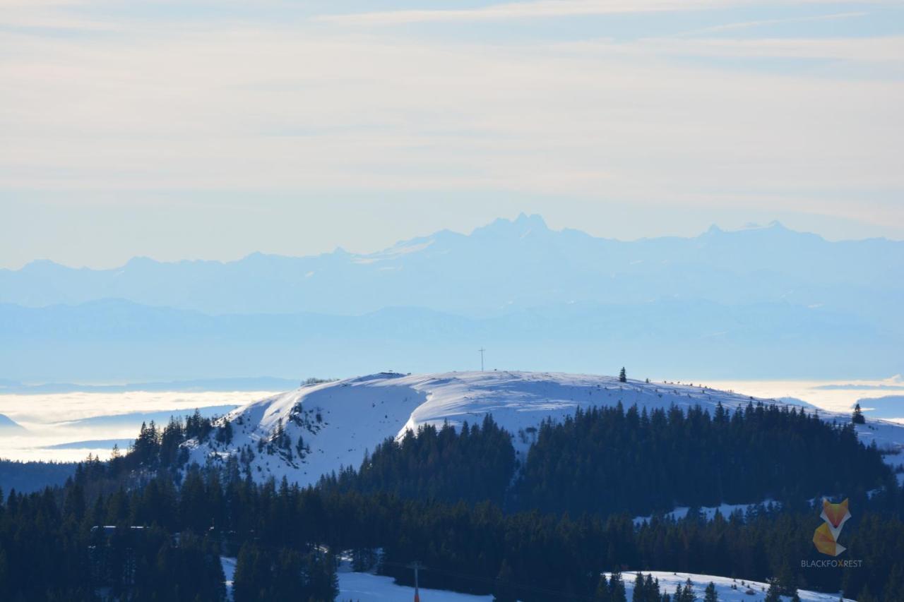 Blackfoxrest Ferienwohnung Feldberg  Exteriör bild